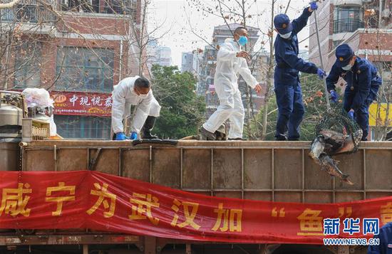 3月13日，一批運到湖北省武漢市硚口區(qū)華生漢口城市廣場社區(qū)的活魚在卸貨。當(dāng)日，首批100噸調(diào)配自咸寧市的活魚運抵武漢市硚口區(qū)11個街道下轄社區(qū)。 新華社記者 程敏 攝